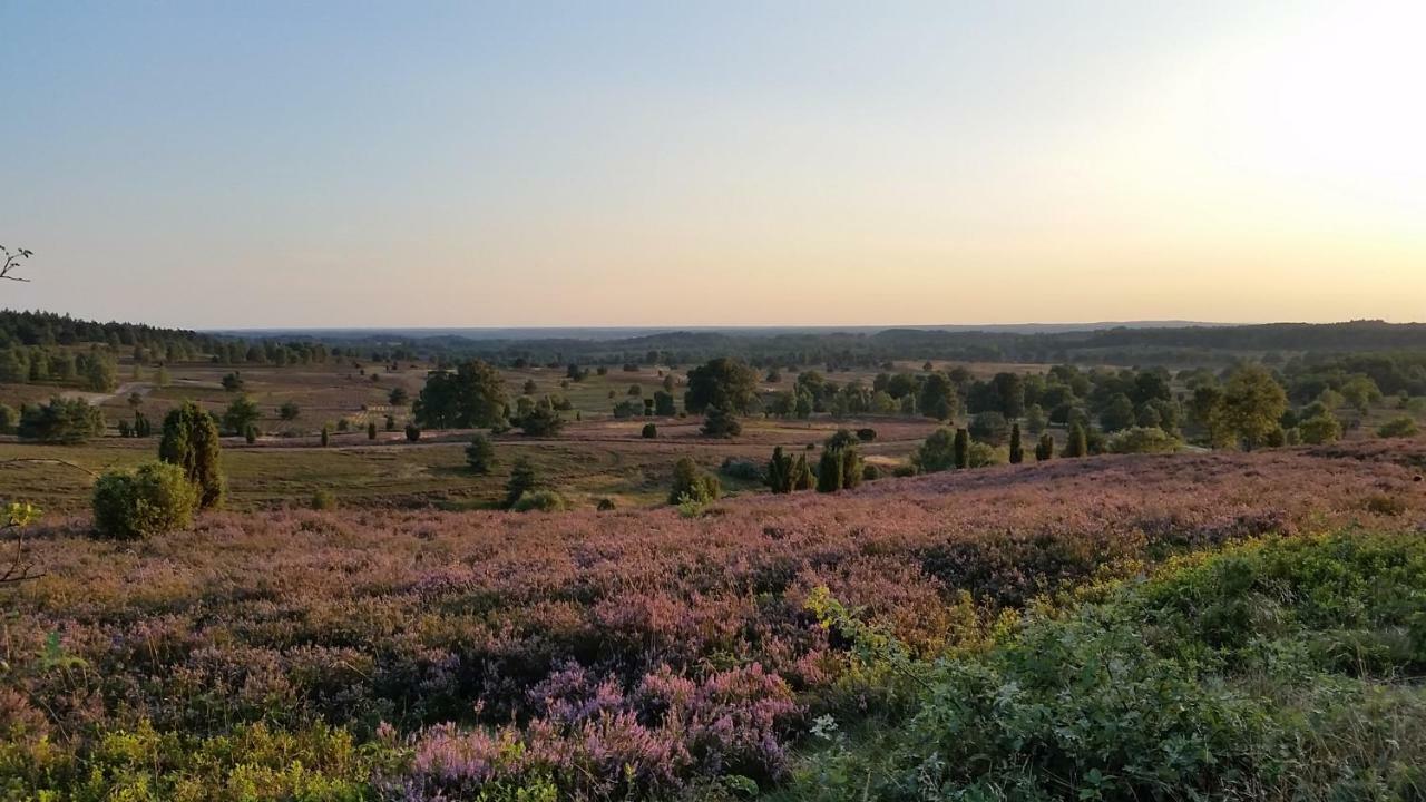 Ferienwohnung Parkblick Soltau Bagian luar foto